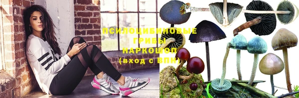 скорость Инта
